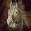 WhiteHorse84