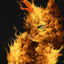 Firecat