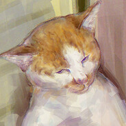 略猫区你们赢了