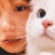 青春非祝少女不会梦到复仇女神学姐