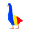 Romanian Goose