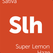 Super Lemon Haze