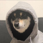 每天都很困的Xin