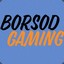 Borsod Gaming