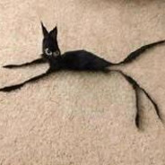 Teh