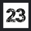 23
