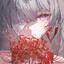 雨神哟233