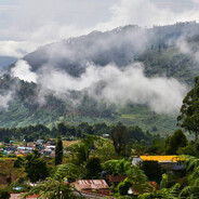 FrustratedTurbine avatar