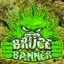 Bruce Banner #3