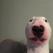 c0dz3r0