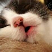 这个猎人超强却超慎重