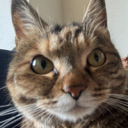 Soft - steam id 76561198348811428