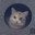 sat1sfaction