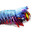 A Mantis Shrimp