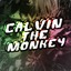 Calvinthemonkey