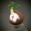 Dr. Coconut