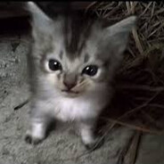 Archangel Number 333