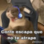 KAFECO 23