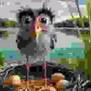 шалгеракла360 Steam avatar