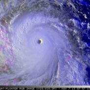 幸福在悄悄蔓延