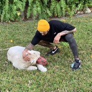 你的英文名是什么