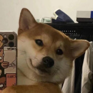 阿离不是阿狸啊丶