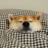 一顆魚丸蹦蹦跳