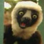 Zoboomafoo