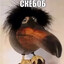 Волосатый жмых