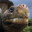 Galapagointenso