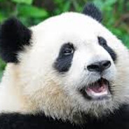 PricklyPanda