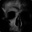 lifelessdecayed