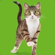 Леха Опущенный