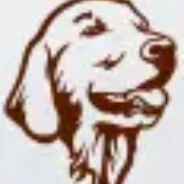 货拉拉拉不拉拉布拉多拉布拉多到底拉得多不多