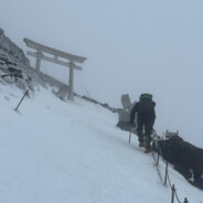 araigoods打工仔小方