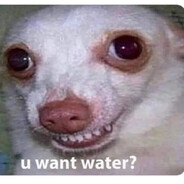 HLw------