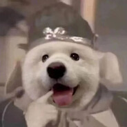 老猪不住高老庄