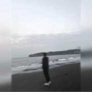 森林裡的小牙籤