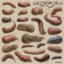 Earthworm Catalog