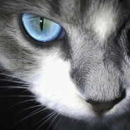 成为king的代价是什么