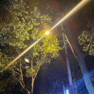 她曾路过我的心