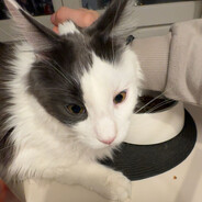 𝓼𝓮𝓵𝓹𝓱𝔂