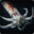 Squid