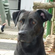 ...•°♥ Pauline ♥°•...