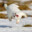 JillyWay avatar