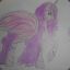 Orchid