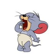 猫鼠第一机枪手泰菲