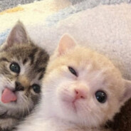 2509