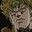 Dio Brando