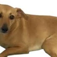 ChurrosMelo